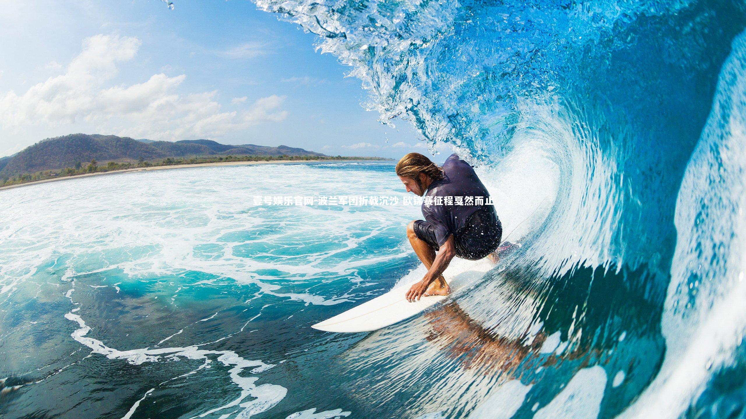 波兰军团折戟沉沙 欧锦赛征程戛然而止